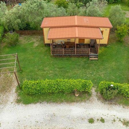 Agriturismo Nonna Stella Bibbona Eksteriør bilde