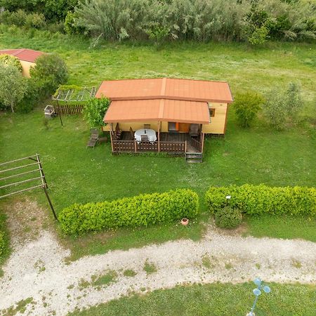 Agriturismo Nonna Stella Bibbona Eksteriør bilde