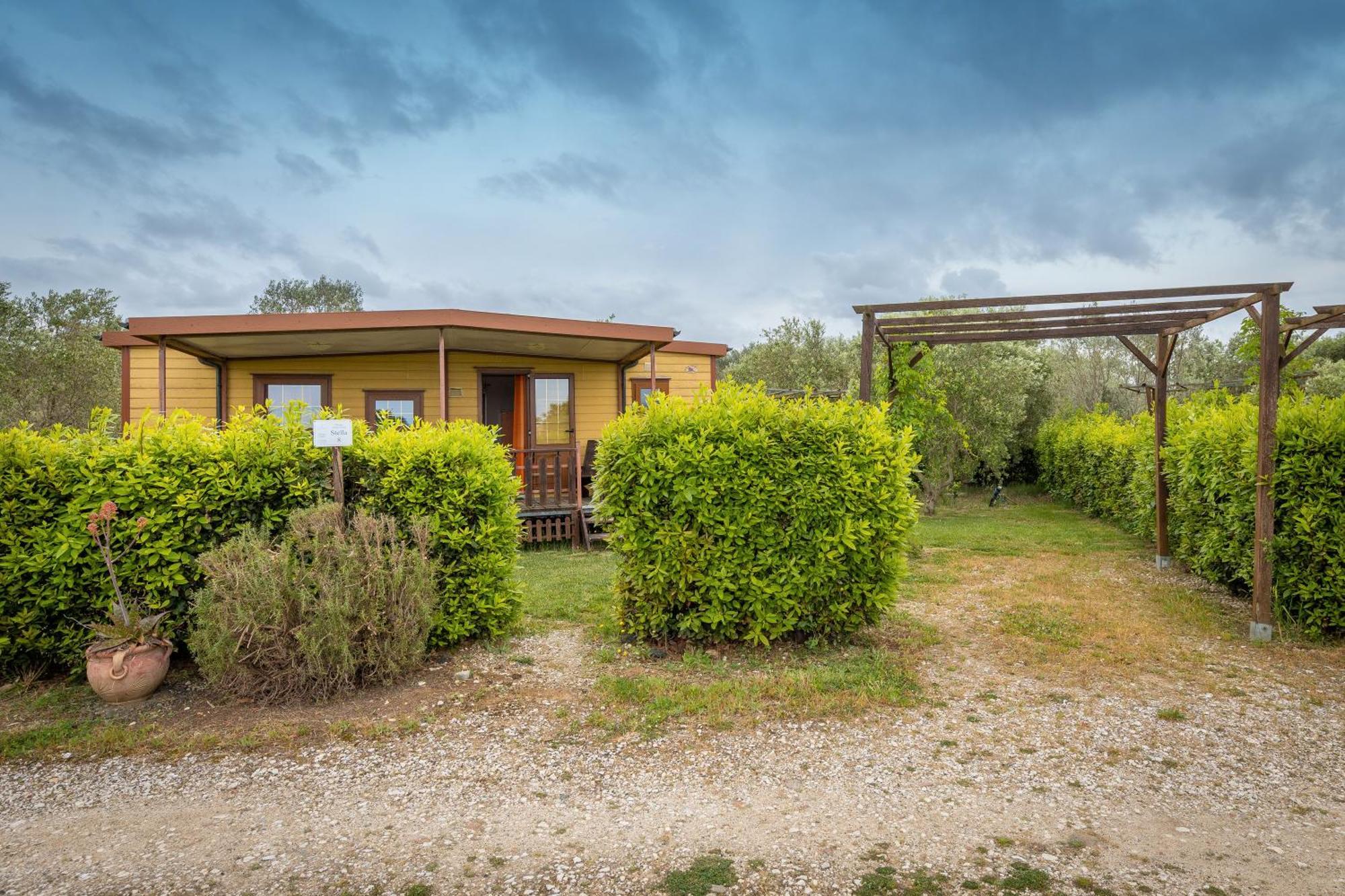 Agriturismo Nonna Stella Bibbona Eksteriør bilde